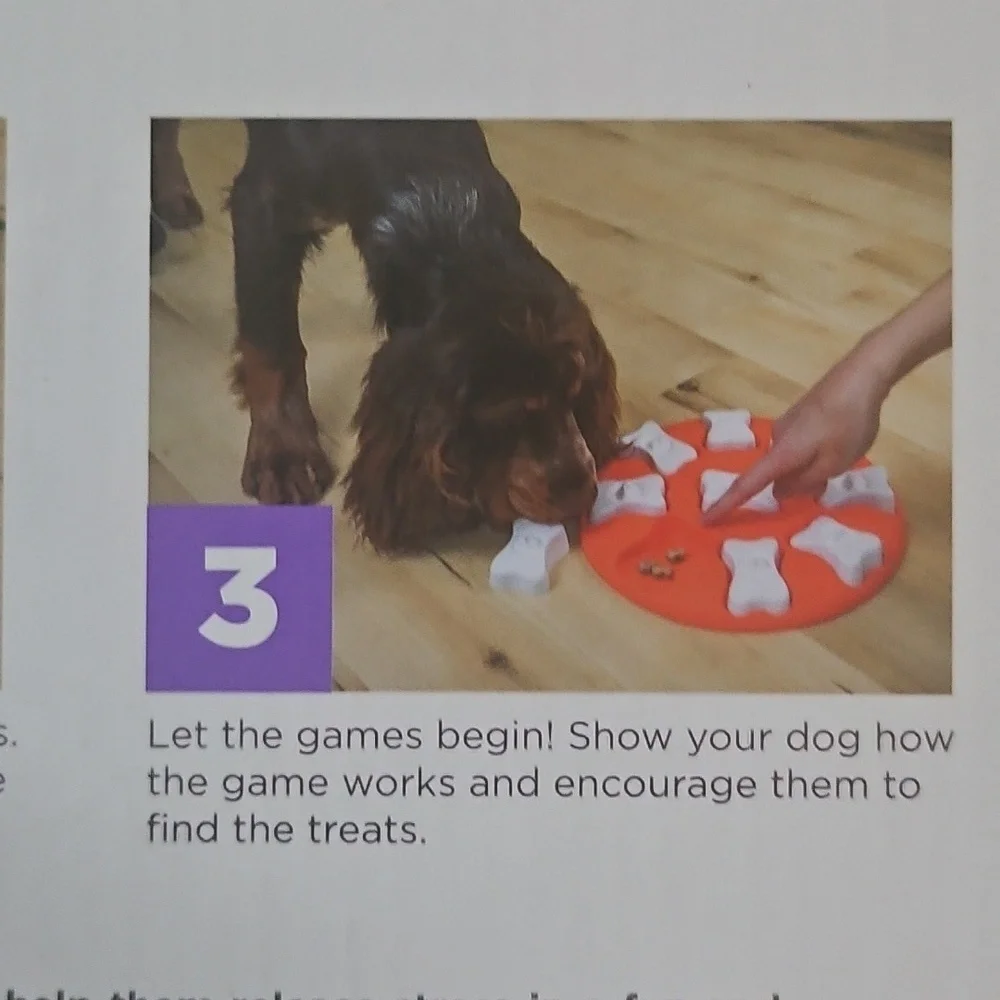 Outward Hound Dog Smart Orange and White Level 1 Puzzle NIB